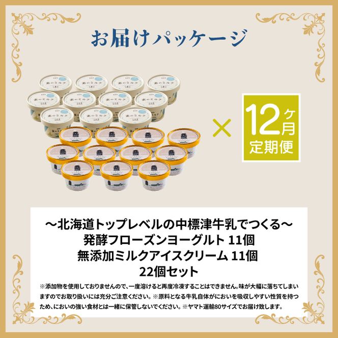 北海道 プレミアムミルクアイスクリーム×11個とフローズンヨーグルト×11個セット計２２個　12ｶ月定期便【11158】