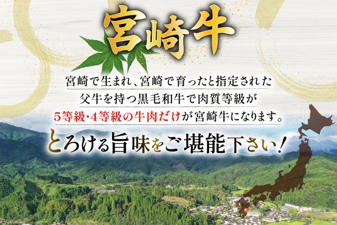 牛肉 定期便 宮崎牛焼肉セット 3ヶ月定期便 [ミヤチク 宮崎県 美郷町 31au0057] 焼肉 冷凍 小分け 個包装 宮崎牛 牛 牛肩ロース 牛ウデ 牛モモ