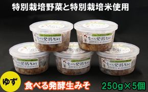 出雲のゆず入り食べる発酵生みそ２５０ｇ×５個【1-145】