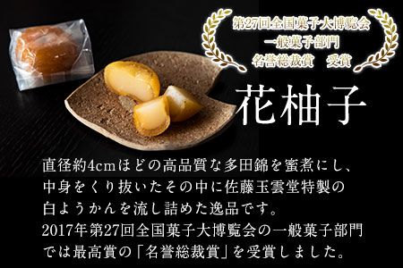 花柚子・柚子ようかん詰め合わせ 佐藤玉雲堂 岡山県矢掛町 柚子 ようかん 和菓子 スイーツ デザート《30日以内に出荷予定(土日祝除く)》---osy_satohnyzyo_30d_24_12500_2i---