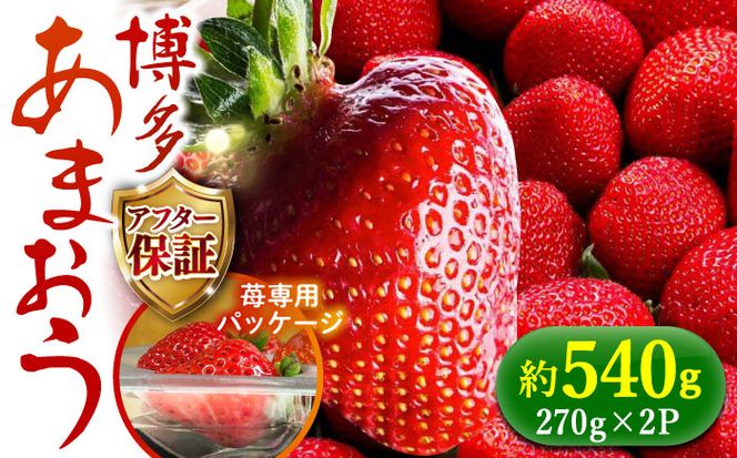 【12月1日より順次発送】農家直送 朝採り新鮮いちご【博多あまおう】約270g×2パック《築上町》【株式会社H&Futures】[ABDG001]