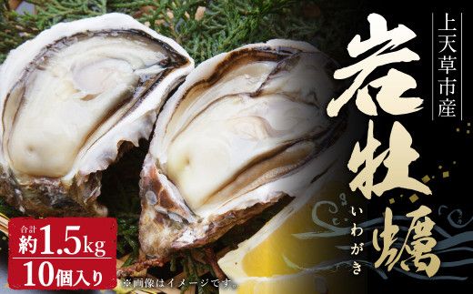 岩ガキ 合計約1.5kg(約150g×10個)加熱用 冷蔵 岩牡蠣