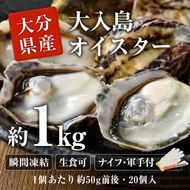 大入島 バージン オイスター 牡蠣 約1kg (1個約50g前後・20個入) 生食可 冷凍 | 真牡蠣 かき 貝 かい 酒蒸し 焼き牡蠣 パスタ 国産 一口サイズ ご当地 お取り寄せ グルメ 大分県 佐伯市【ED06】【(合)新栄丸】