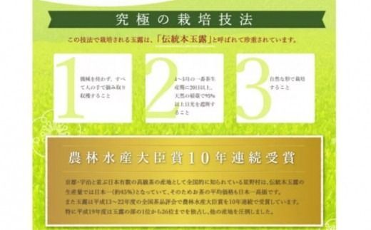 【C-132】八女星野茶 星乃憩 煎茶120ｇ×1 深蒸し茶120ｇ×1