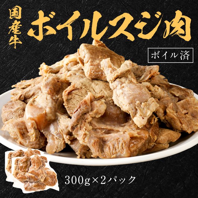 【国産牛】料理の味方セット(切り落とし・ボイルスジ肉)《 肉 牛肉 切り落とし肉 牛すじ 国産 セット 》