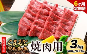 【6ヶ月定期便】くまもと黒毛和牛 焼肉用 500g 計3kg《お申し込み月の翌月から出荷予定》 南阿蘇食品---sms_fkmkgyktei_23_113000_mo6num1---