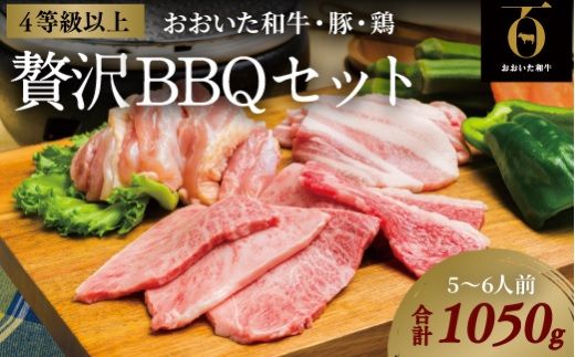 E-49 おおいた和牛焼肉セット（合計1050g）