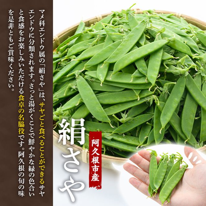 ＜先行予約受付中！2026年1月以降順次発送予定＞ご家庭用！訳あり！「絹さや」(1kg) 旬 国産 豆 マメ 絹さや 絹サヤ きぬさや 野菜 セット 詰め合わせ 訳アリ 数量限定 期間限定【黒坂青果】akn049-04