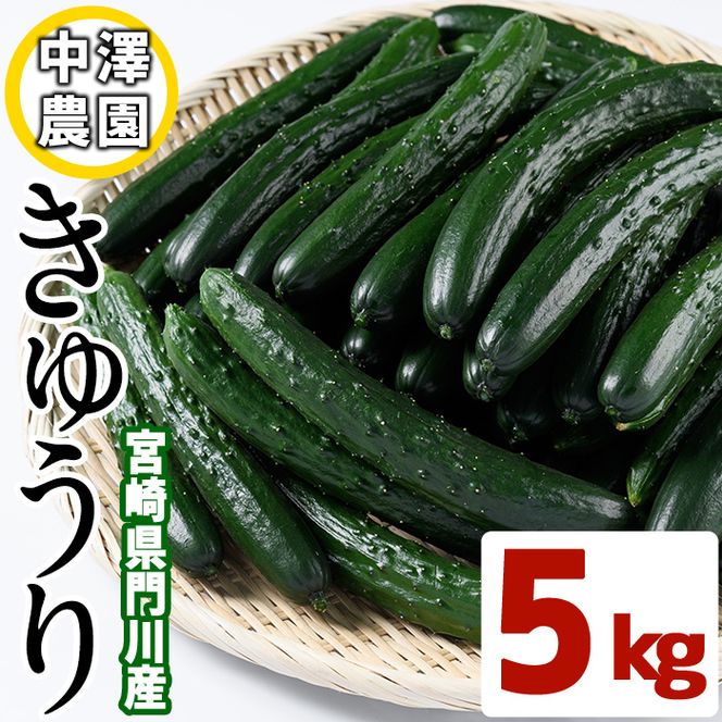 宮崎県産きゅうり(5kg)野菜 やさい 旬 新鮮 サラダ キュウリ 胡瓜 冷蔵 宮崎県産【NS-1】【中澤農園】