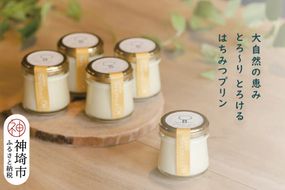 えこびと農園のとろけるはちみつプリン 5個セット(H037140)