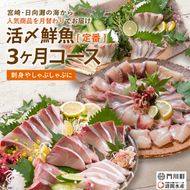 【北海道・離島配送不可】＜定期便・全3回(連続)＞旬の鮮魚(3ヶ月コース)お刺身 お刺し身 魚介 海鮮 ブリ ぶり 鰤 シマアジ カンパチ シマアジ 真空パック お楽しみ【AP-32】【日向屋】