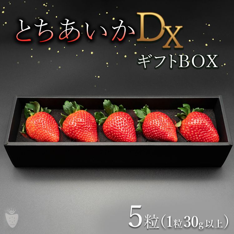 [先行予約][数量限定]とちあいかDX ギフトBOX(5粒)|いちご イチゴ 苺 ※2025年11月上旬頃より順次発送予定