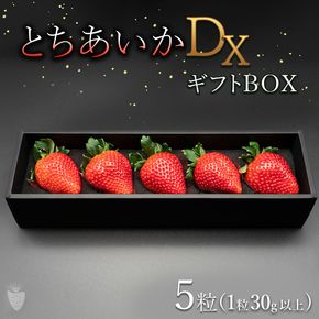 【先行予約】【数量限定】とちあいかDX ギフトBOX（5粒）｜いちご イチゴ 苺 ※2025年11月上旬頃より順次発送予定