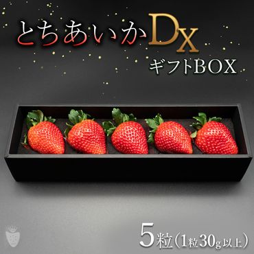 【先行予約】【数量限定】とちあいかDX ギフトBOX（5粒）【いちご イチゴ 苺】 ※2023年11月上旬頃より順次発送予定