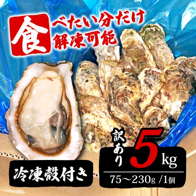 訳あり 岩手県産冷凍殻付き牡蠣 5kg [koku008_1]