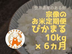 【定期便/毎月お届け/全6回】むなかた産 米 ぴかまる 10kg【みきふぁーむ】_HB0170