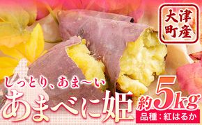 熊本県 大津町産 あまべに姫 (紅はるか) 約5kg ガブレス《12月上旬-3月末頃出荷》さつまいも 芋 紫芋 高糖度---so_gbabh_af123_r7_8500_5kg---