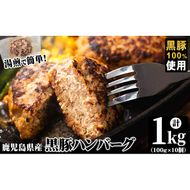 鹿児島県黒豚 100%使用 黒豚ハンバーグ(計1kg・100g×10個) a1-092