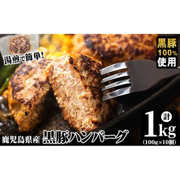 鹿児島県黒豚 100%使用 黒豚ハンバーグ(計1kg・100g×10個) a0-292