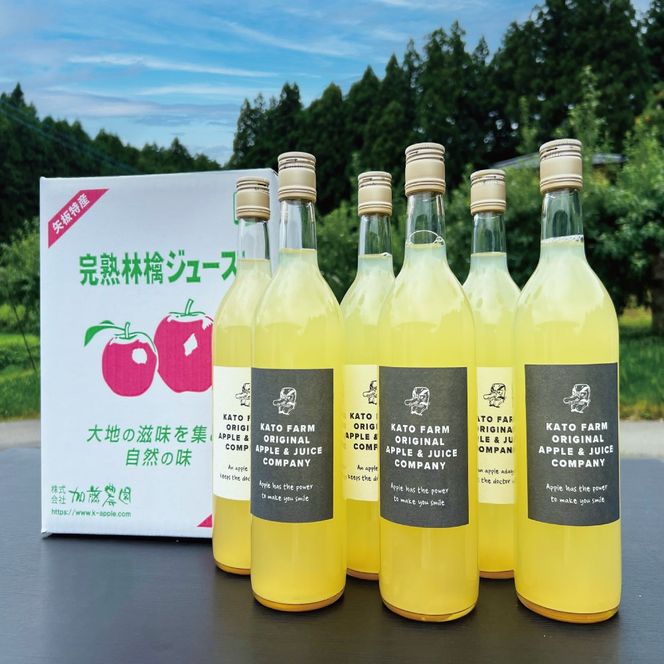 栃木県矢板市産 樹上完熟100％りんごジュース 720ml×6本入｜林檎 リンゴ 果汁100% 産地直送  [0419]