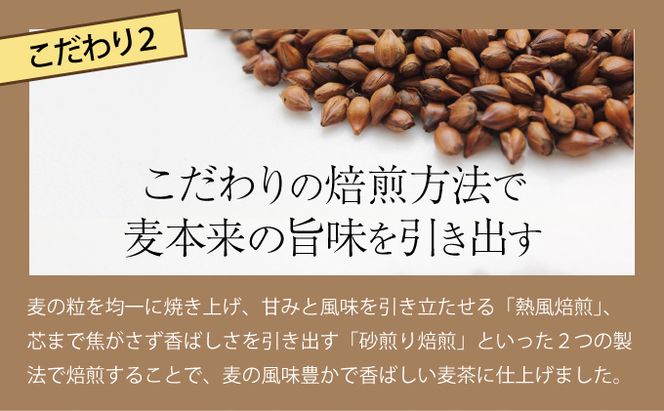 おいしい麦茶600ml×24本【年12回定期便】　nm045