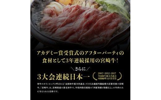 【定期便】宮崎牛12ヶ月定期便A 【 国産 九州産 肉 牛 宮崎県産 牛肉 黒毛和牛 ミヤチク 全12回 】[D00674t12]