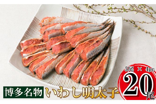 y}sz킵 q 20(5 4pc) ^킵 hq q ϔ [t̗  }s 21760129] hqq ߂񂽂 ߂񂽂 킵 킵߂񂽂  Y Ⓚ  