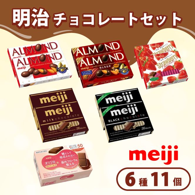 《 明治 なるほどファクトリー 東海 》 チョコレート セット Bセット 6種類 11個入  静岡県 藤枝市 人気お菓子 ふるさと納税お菓子 ふるさとお菓子【PT0123-000075】