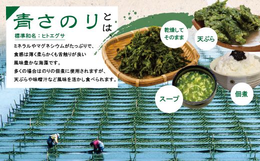 土佐 のこだわり 佃煮 4瓶 セット 青さのり佃煮 ゆずみそ 宗田節 青じそ 柚子 味噌 四万十川 のり つくだに 海苔佃煮 のりつくだに 海苔の佃煮 海苔 長期保存 常温保存 非常食 保存食 備蓄 高知 高知県 四万十 四万十市 しまんと 国産 25-419