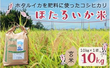 【訳あり】ほたるいか米（玄米10kg）【通年発送】