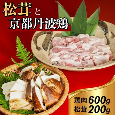 京都丹波鶏 と 松茸 すき焼き セット[鶏肉 600g 松茸 200g]特製割下付き ※9月中旬頃より順次発送 ※発送不可地域あり