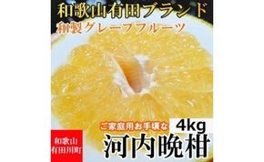 【有田川町】河内晩柑 ４kg 和製グレープフルーツ ブラン 和歌山 ブランド 有田みかん ご家庭用  CE028