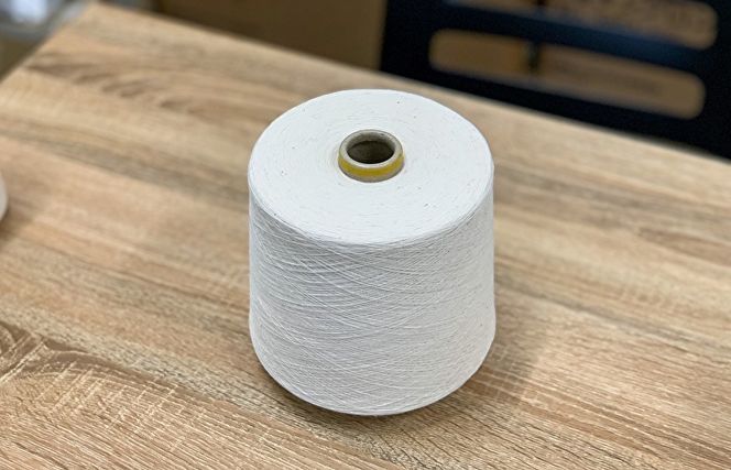 005A808 オーガニックバスタオル１枚【泉州タオル たおる 国産 吸水 普段使い シンプル 日用品 家族 ファミリー】