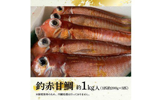 『釣赤甘鯛 C』　魚 魚介類 [D04410]