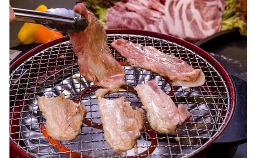 富士ケ嶺ポーク 【焼肉用総重量約1.5kg】 FAB016