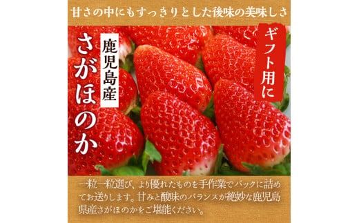 鹿児島県産いちご(さがほのか「秀大」・計約1.4kg・40粒×2箱) 鹿児島 阿久根 果物 フルーツ イチゴ いちご 苺 さがほのか デザート おやつ 期間限定【鹿児島いずみ農業協同組合】akn018-21