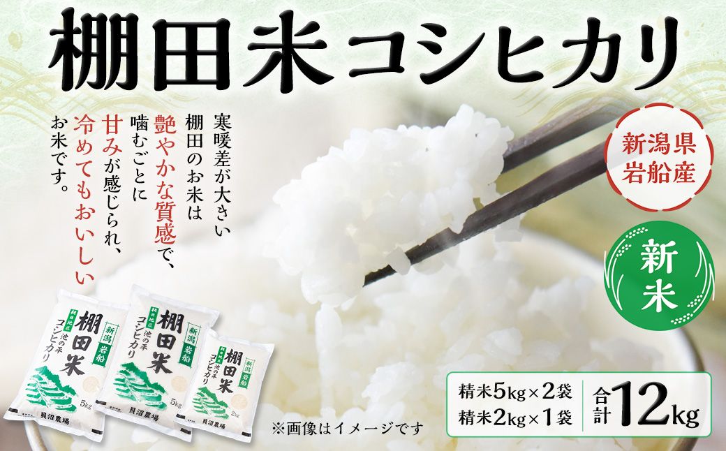 [新米受付・令和7年産米]NB4107 新潟県岩船産 棚田米コシヒカリ12kg