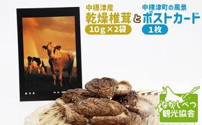 中標津産乾燥椎茸 １０ｇ×２袋 計20g　なかしべつ観光協会バージョン【32008】