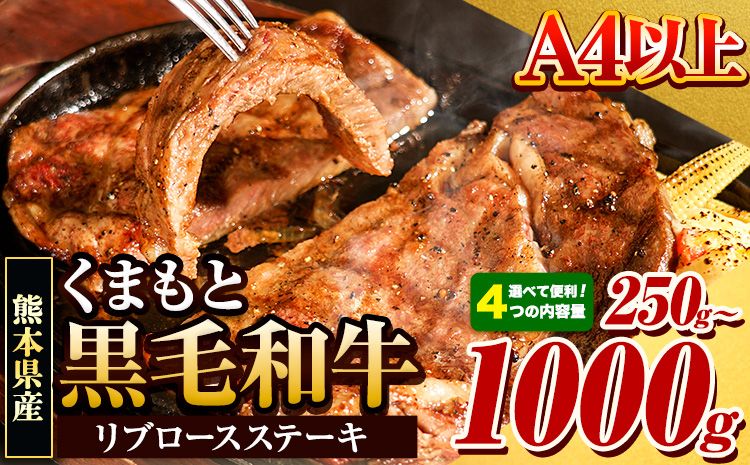 くまもと黒毛和牛 リブロースステーキ 選べる 内容量 250g 500g 750g 1000g 牛肉 冷凍 [30日以内に出荷予定(土日祝除く)] くまもと黒毛和牛 黒毛和牛 冷凍庫 個別 取分け 小分け 個包装 ステーキ肉 にも リブロースステーキ---hkw_fribu_30d_r7_10000_250g---