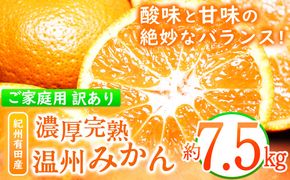 【先行予約】【ご家庭用訳あり】紀州有田産 濃厚完熟温州みかん 約7.5kg 株式会社魚鶴商店《2026年11月下旬-2027年1月下旬頃出荷》 和歌山県 日高町 みかん 温州みかん 完熟 濃厚 柑橘 ご家庭用---wsh_uot218_11g1g_25_15000_7500g---