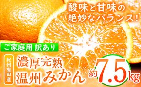 【ご家庭用訳アリ】紀州有田産 濃厚完熟温州みかん 約7.5kg 株式会社魚鶴商店《2024年11月下旬-2025年2月上旬頃出荷》 和歌山県 日高町 みかん 温州みかん 完熟 濃厚 柑橘 ご家庭用---wsh_utshum_l112_23_13000_7500g---