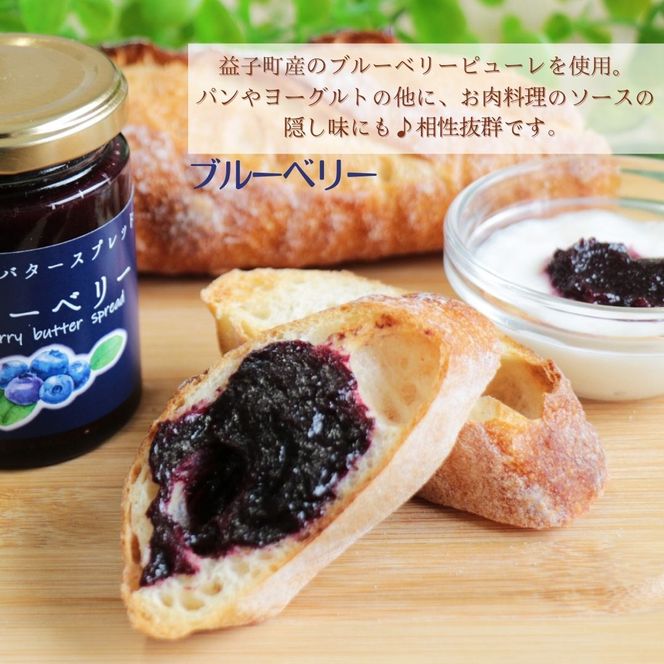 AA012 てづくりバタースプレッド（大）3個セット バタースプレッド いちごみるく ブルーベリー アップルパイ とちおとめ 益子町 ペースト仕立て
