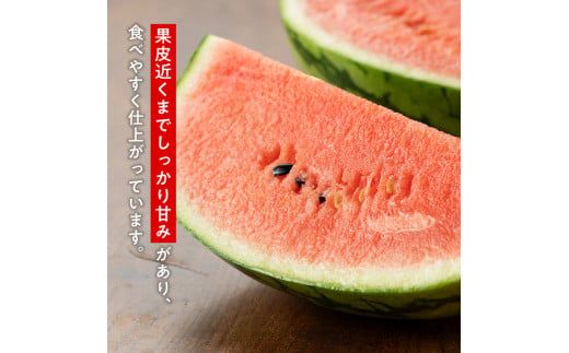 【令和8年産】宮崎県産　小玉スイカ（マダーボール）2玉 【 数量限定 国産 宮崎県産 西瓜 フルーツ 果物 】 [C10701]