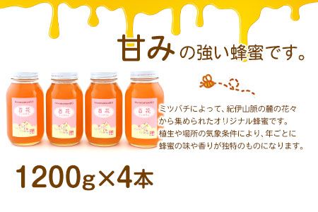 ほんまもん百花蜂蜜 1200g×4本 計4800g 村上養蜂《90日以内に出荷予定(土日祝除く)》和歌山県 紀の川市---wsk_murayhh4_90d_21_59000_4800g---