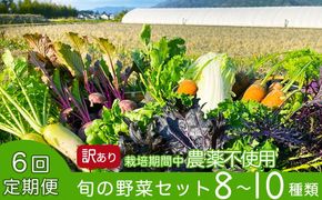 【6回定期便】かたもとオーガニックファームの農業研修生が無農薬・自然栽培で育てたお野菜セット 8～10品目 ≪産地直送 朝採れ 新鮮 京野菜 京都府 亀岡産 ≫