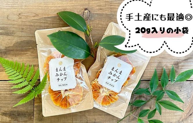 ドライフルーツ みかんチップ 400g ( 20g × 20袋 ) 和歌山県産 果物使用 自社製造 【みかんの会】 AX153