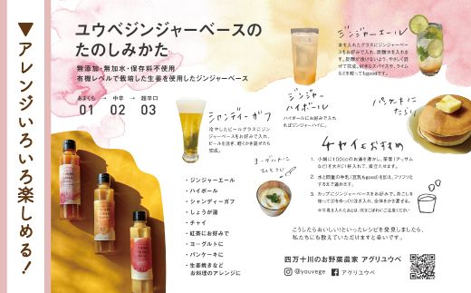 生姜好きさんにオススメ！ 濃厚 しょうがシロップ 2本セット【超辛口】国産 生姜シロップ 自家製 生姜 しょうが ショウガ ジンジャー シロップ アレンジ ドリンク 料理 調味料 高知 四万十 四万十市 しまんと 産地直送 25-758