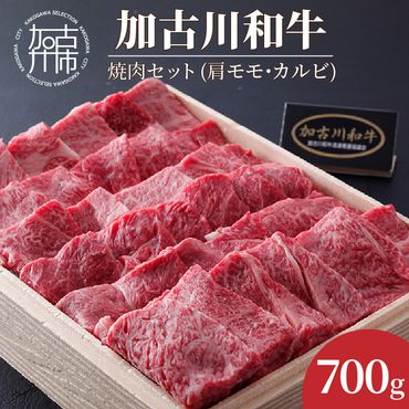 加古川和牛焼肉セット（700g） 肩モモ・カルビ