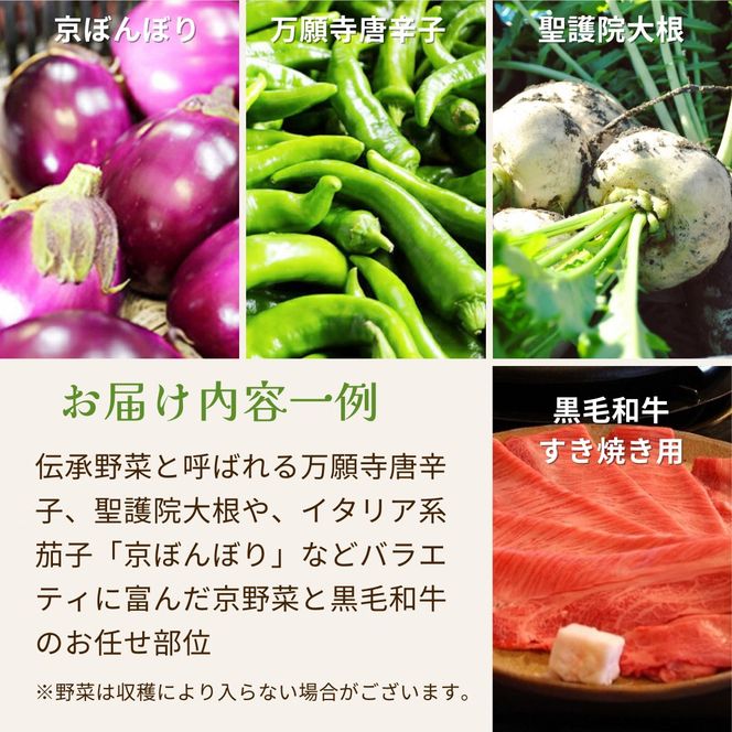 【12回定期便】黒毛和牛 ＆ 旬の京野菜 詰合せ　毎月お届け・全12回コース《京都 丹波 和牛 お楽しみ》 ※沖縄・離島・諸島へのお届け不可