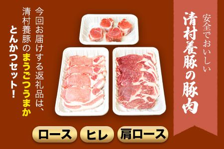 まうごつうまかとんかつセット 1kg 清村養豚《60日以内に出荷予定(土日祝除く)》 ロース ヒレ 肩ロース とんかつ かつ丼 みそかつ 熊本県 御船町---mifune_kym_1_1kg---